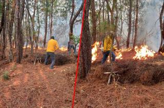 #Video: Incontrolable incendio sigue arrasando zona forestal en #Tejupilco