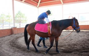 En Toluca transforma equinoterapia la vida de cientos de pequeños con discapacidad