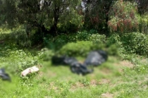 Abandonan bolsas con restos humanos en #Chicoloapan