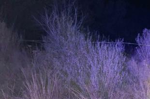 El hallazgo se realizó la noche del lunes en la comunidad conocida como Loma Blanca, en Almoloya de Juárez.