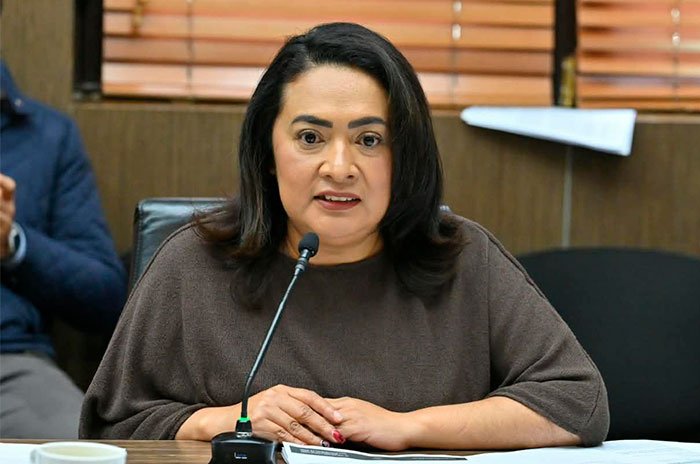 La diputada Carmen de la Rosa Mendoza. fue l promovente de la inicitiva.