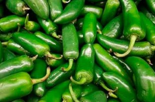 CDC y FDA investigan chiles distribuidos por Coast Citrus Distributors en Estados Unidos