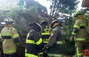 Lluvia y granizo provocan caída de 17 árboles