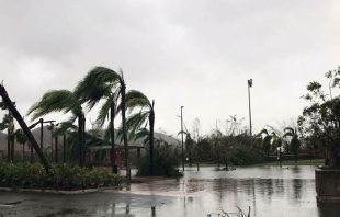 Donald Trump declara “zona de desastre” a Puerto Rico