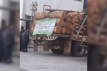 Autoridades confirman que se trataba de poda sanitaria autorizada por Probosque y Sedagro.