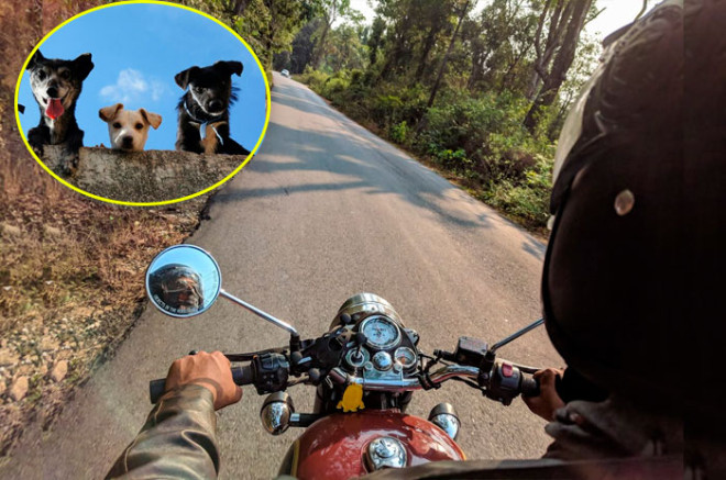 Stray Dog Support y Harley Davidson Toluca invitan a motociclistas y ciudadanos a participar en evento solidario