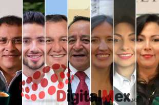 Mario Cervantes, José Couttolenc, Óscar González, Arturo Osornio, Yuritzi Castañeda, Diana Velázquez, Angelina Carreño.