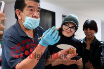 El taller fue impartido por Ángel Campiran Villanueva, artesano toluqueño experto en la fabricación de dulces tradicionales.