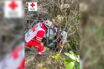 La víctima viajaba en un vehículo Nissan Tsuru de color blanco, el cual, por razones aún desconocidas, salió del asfalto y se precipitó hacia una barranca, volcando a su paso.