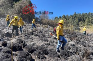 Los municipios en los que prevalecen mayormente estos incendios son Valle de Bravo, Ocuilan y Nicolás Romero.