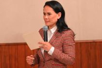 En 2012, fue elegida como diputada Federal por el Distrito VII con cabecera en Cuautitlán Izcalli.