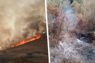 Gracias a la coordinación de esfuerzos lograron controlar el fuego.