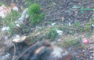 Hallan a mujer calcinada en lote baldío en Los Reyes La Paz