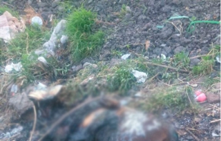 Hallan a mujer calcinada en lote baldío en Los Reyes La Paz