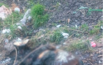 Hallan a mujer calcinada en lote baldío en Los Reyes La Paz