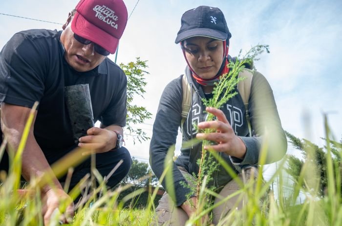 Personal del Ayuntamiento de Toluca participó en la jornada de reforestación en Calzada del Pacífico.