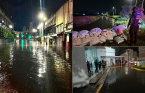 Personal de Protección Civil y Bomberos desplegó operativos en diversas colonias para atender encharcamientos, apoyar a vecinos afectados y retirar árboles caídos.