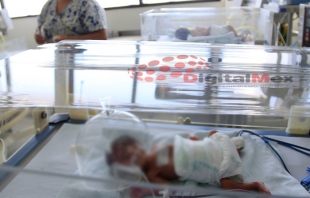 Brote de Klebsiella pneumoniae; siete bebés infectados en clínica del IMSS