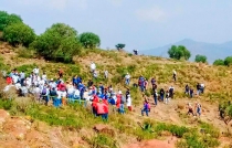 Frente a contigencias, trabajadores y estudiantes de UNIDEM reforestan zona protegida, en Ecatepec