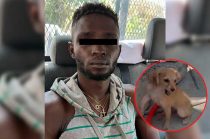 Video: Detienen a haitiano por golpear a lomito en Ecatepec