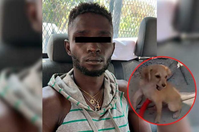 Video: Detienen a haitiano por golpear a lomito en Ecatepec