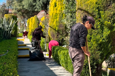 Con el Atlas Digital de Arbolado Urbano, la ciudad contabiliza más de 55 mil árboles y planea superar los 68 mil ejemplares