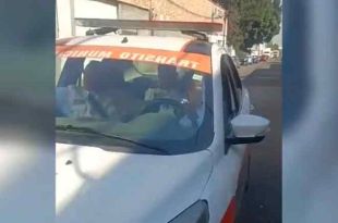 #Video: Señalan a policías de tránsito por arrollar y matar a perrita, en #Naucalpan