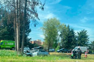 Un auto color gris chocó contra un árbol en el camellón, sobre Paseo Tollocan.