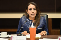 La propuesta fue presentada por la diputada de Movimiento Ciudadano, Ruth Salinas Reyes.