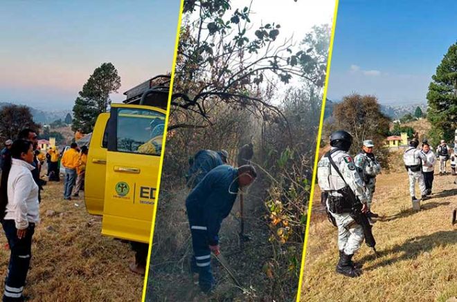 Desde el inicio del fuego se realizaron brechas cortafuego