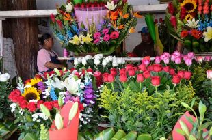 Es el 10 de mayo una de las principales fechas para la comercialización de flores