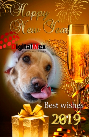 Happy New Year