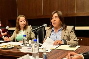 La diputada Rosa María Zetina, integrante de la comisión, aclaró que la propuesta es de interés público e interés social.