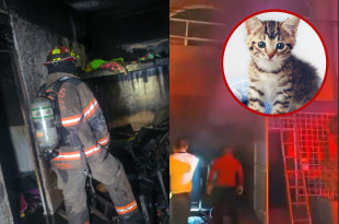 El incendio se registró en Colonia Río de Luz, Ecatepec