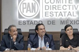 Se busca que se integre un programa de gobierno y un convenio que establezca la forma en que gobernará la candidata o el candidato en caso de resultar electo.