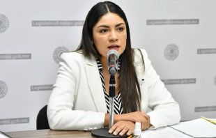 Legisladora de Morena pide crear diputación migrante