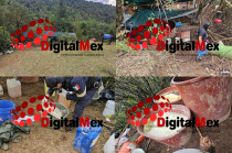 Contenedores con químicos fueron asegurados en un narcolaboratorio clandestino