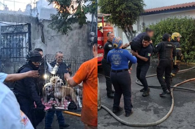 Bomberos y equipos de emergencia atendieron un incendio en una vivienda de la colonia El Sol, en Nezahualcóyotl, donde dos personas resultaron lesionadas y cuatro perros fueron rescatados.