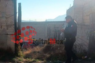 El impacto dañó gravemente la parte frontal del vehículo y el conductor falleció en el lugar.