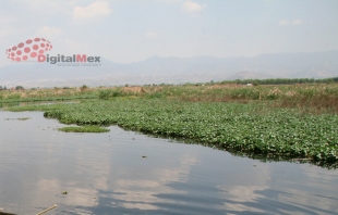 Hallan tambo con aparentes restos humanos, a un costado de la autopista #Lerma-Tenango del Valle