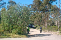 Vestía pantalón de mezclilla azul, blusa morada y cargaba una mochila negra.