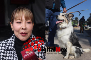 La directora de CEPANAF, Alma Diana Tapia Nava, exhortó a reforzar el cuidado animal ante el frío