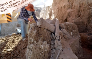 Hallan restos de mamut donde construyen tiradero en Tultepec