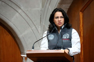 La diputada Paola Jiménez Hernández presentó una iniciativa para que estudiantes del Estado de México puedan acreditar su servicio social participando en programas de protección y bienestar animal.