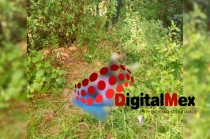 Cuerpo de una mujer de aproximadamente 45 años fue localizado entre la maleza en la comunidad de Loma Alta