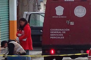 Localizaron más de 20 fragmentos y un cráneo