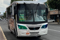 Los lineamientos sientan las bases para una gestión más ordenada y coordinada del sistema de movilidad en la entidad.