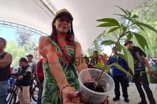 #Video: Día de la #Marihuana, rodada en Toluca por despenalización de consumo