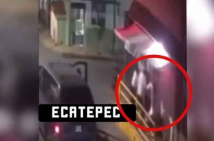 #Video: Graban brutal golpiza a perrito, en #Ecatepec