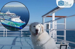 Este innovador crucero contará con actividades especiales, como exhibiciones caninas, talleres de entrenamiento, concursos de disfraces y masajes para cachorros. 
